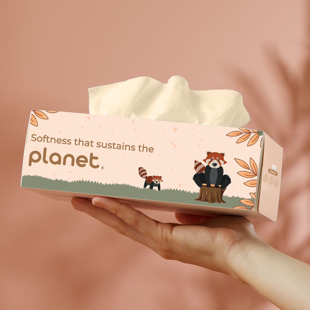 Bamboo Facial Tissues - 100% Natural, Ultra-Soft & Hypoallergenic - 200 Pulls (Pack of 2)