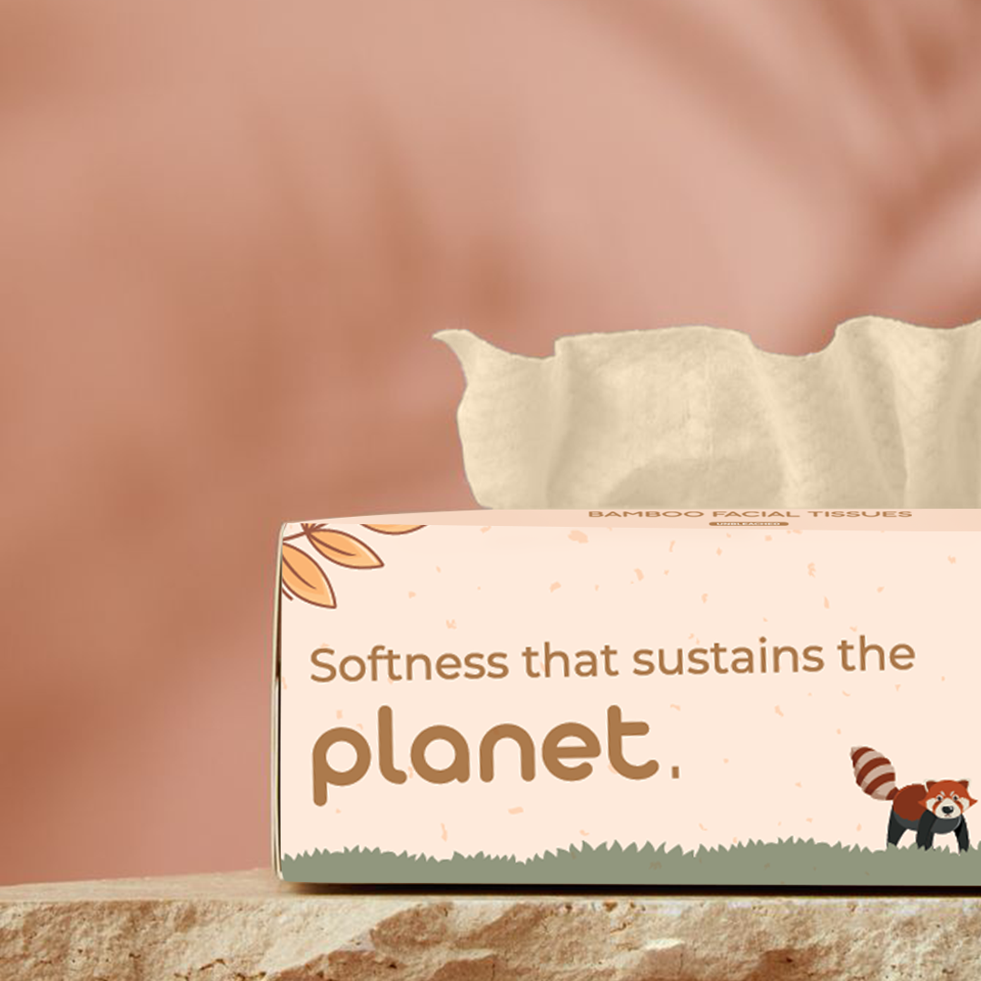 Bamboo Facial Tissues - 100% Natural, Ultra-Soft & Hypoallergenic - 200 Pulls (Pack of 2)