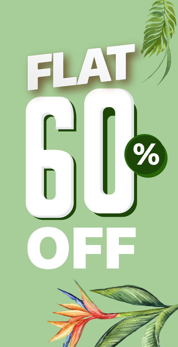 Summer Special Flat 60%OFF banner