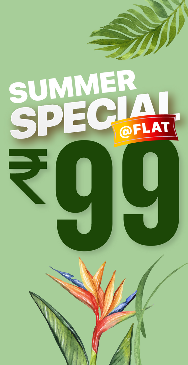 Summer Special 99 banner