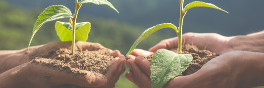 Support Sustainable Agriculture: Your Choices Matter!
