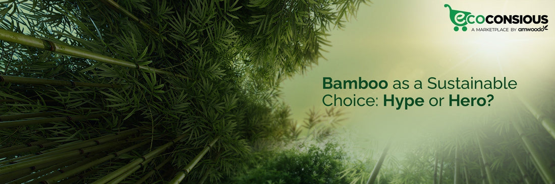 eco-friendly products