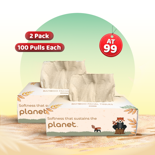 Gentle Bamboo Facial Tissues (100 Pulls x 2)