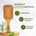 Bamboo paddle brush with benefits listed on a white background