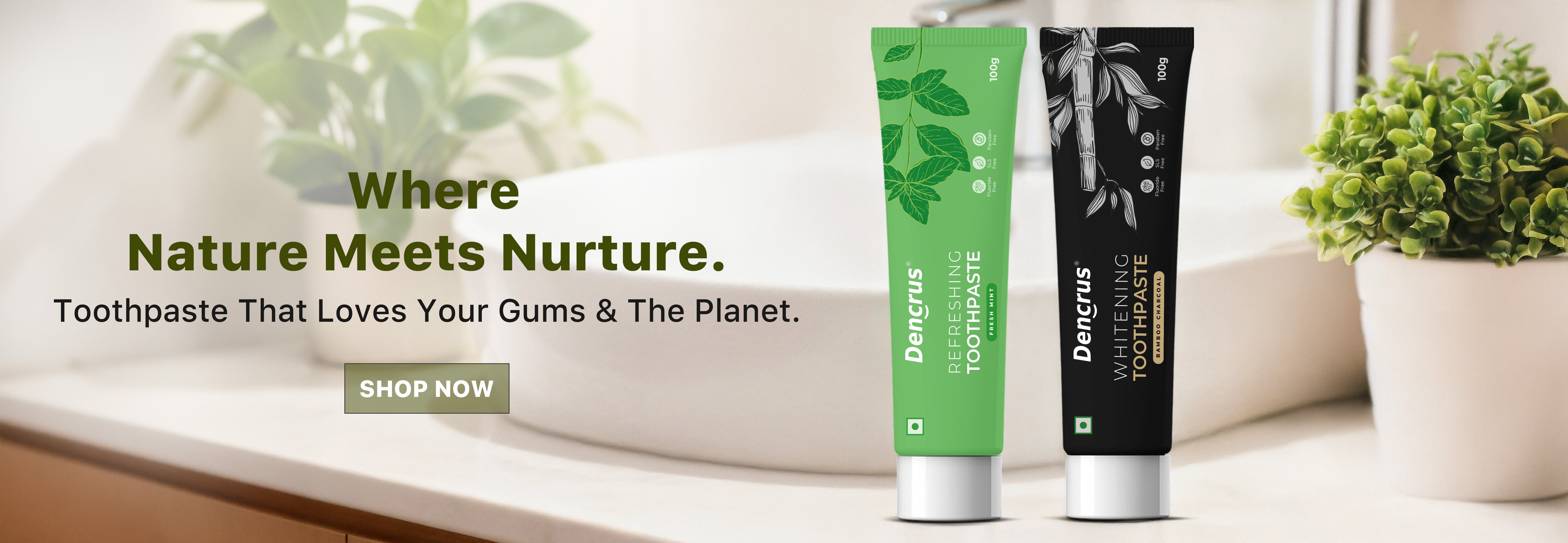 two dencrus toothpaste tubes on a white surface with greenery, promoting with a text.3