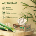 Bamboo Facial Tissues – Ultra-Soft, Biodegradable & Skin Safe