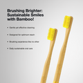 Two Dencrus ORBY Plus with yellow-coloured bristles against a white background highlighting all the key features 