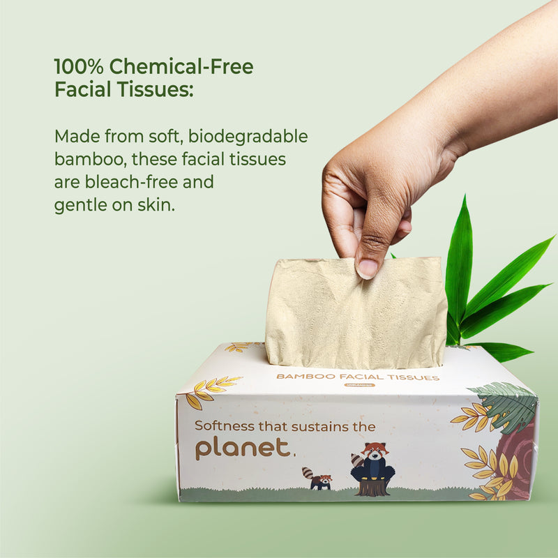 imeco bamboo facial tissues with a hand pulling a tissue, on a light green background.