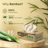 Bamboo Facial Tissues – Ultra-Soft, Biodegradable & Skin Safe