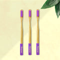 Three ORBY Plus bamboo toothbrushes with lavender-colored bristles and ergonomic handles, displayed on a beige background with a green leaf to the side.